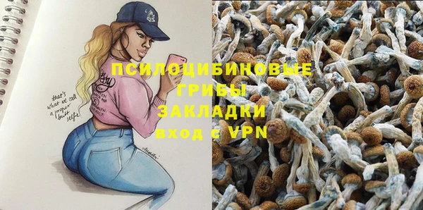 ALPHA-PVP Армянск
