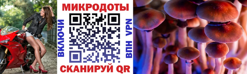 Галлюциногенные грибы Magic Shrooms  Сорск 